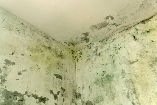 especialistas en humedades por condensacion en sevilla